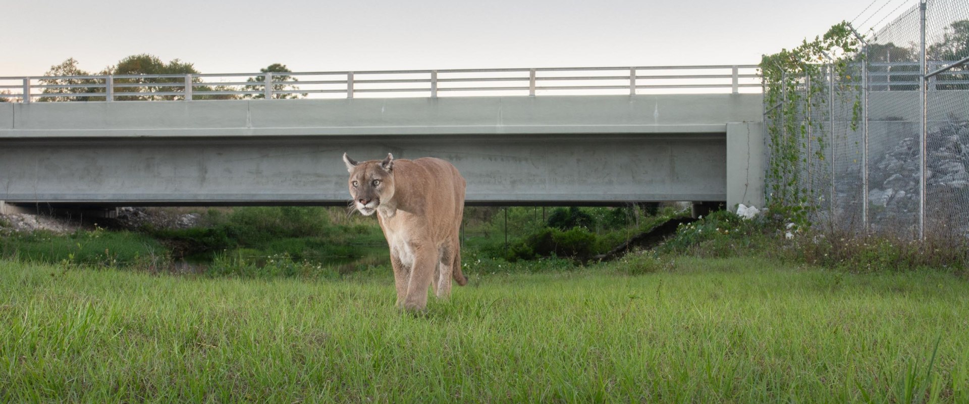 Political Campaigns in Lee County, FL: Addressing Climate Change